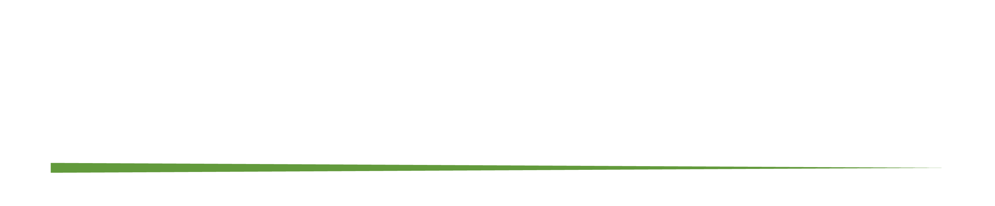 GoMarcas | Tienda en Línea